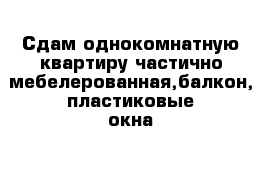 Сдам однокомнатную квартиру частично мебелерованная,балкон, пластиковые окна